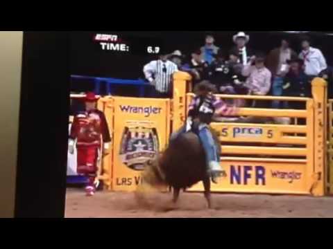 Kish's Wolf Can Too 91.5pts