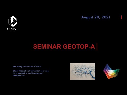 Geotop-A Seminar I Bei Wang University of Utah I Sheaf-Theoretic Stratification Learning