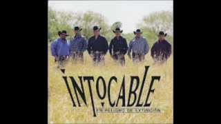 INTOCABLE - SE ACABO TU FE (CHARLIE) 2013