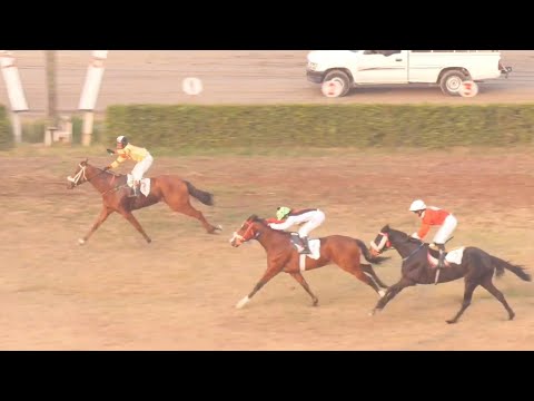 Ganador de la séptima carrera de 1000 metros Luna Afzaal | Montado por el jockey Babar Rehman, en...