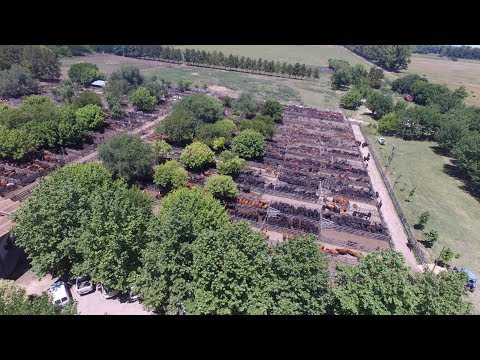 12/12/2018 - Brandsen, Provincia de Buenos Aires - Jauregui Lorda S.R.L.