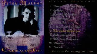 Peter Murphy - The scarlet thing in you