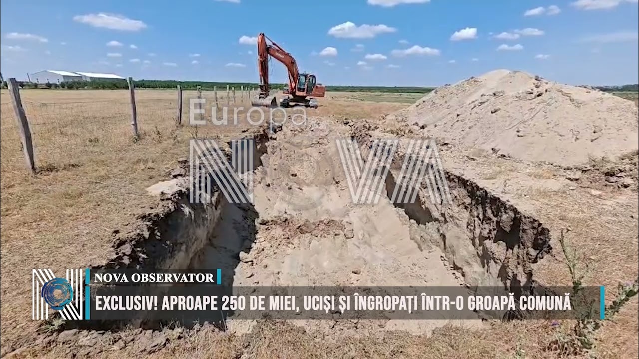 EXCLUSIV! Aproape 250 de miei, uciși și îngropați într-o groapă comună