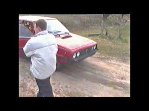 polonez kokot 2