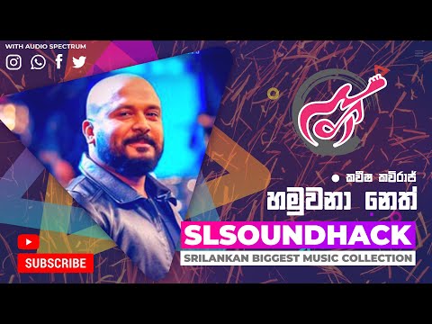 Hamuwana Neth - Kaveesha Kaviraj (හමුවනා නෙත් - කවීෂ කවිරාජ්)