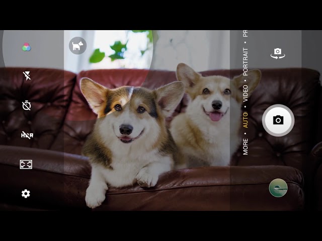 TCL 20Y 4G 4GB 64GB 6.52" Negro video