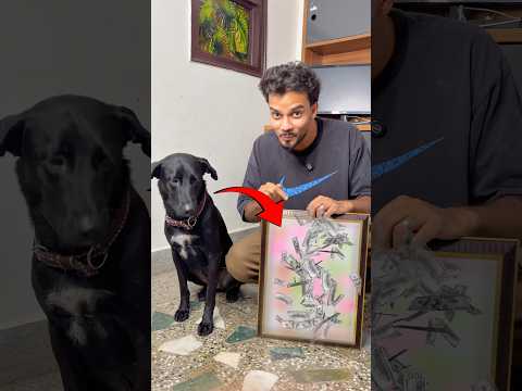 Can A Dog Make A Painting?