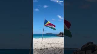 Octobre 2024 futur voyage #voyage #blackandwhite #seychelle #plage #avion #tortue #ocean #mer #futur