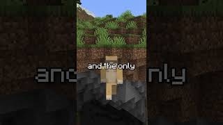 THE MINECRAFT MOVIE IS COMING! #shorts