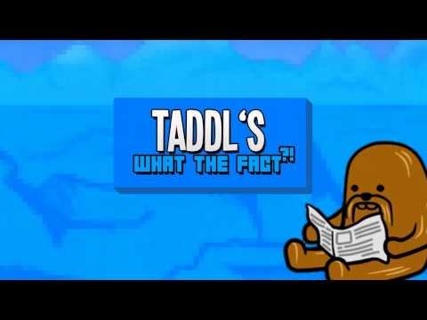 WTF Taddl Intro | by Haihappen | ENTRY |