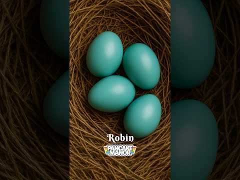 Count to ten with EGGS!🪺 #preschool #kidssongs #kidsvideo #counting