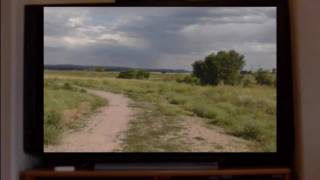 Stop Motion What's On Tv?