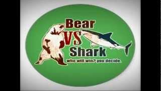 Bear vs. Shark - Catamaran