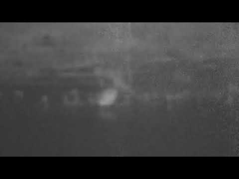 Djuma: Sights and sounds including rain-Pt:2 - 01:36 - 02/10/2020