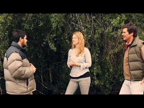 Chilean Pais wine, old vines from Maule, Chile, with J Bouchon & Pais Salvaje