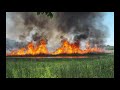 Swan Lake - All Fires