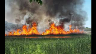 Swan Lake - All Fires
