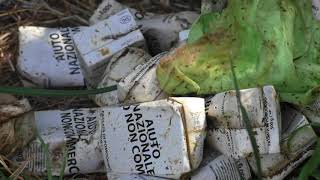 schiaffo-alla-poverta-nel-giorno-di-ferragosto