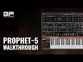 Video 2: Walkthrough
