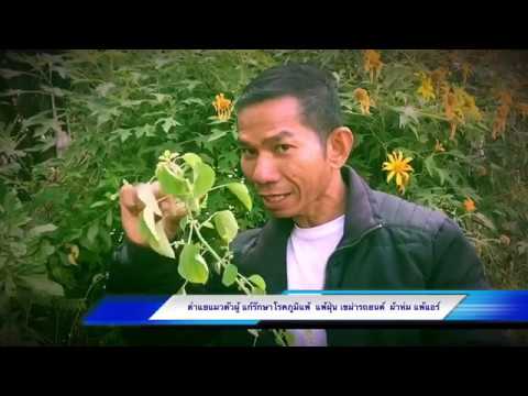เส้นใยในโรคสะเก็ดเงิน Neurodermatitis จากสิ่งที่เกิดขึ้นและวิธีการ