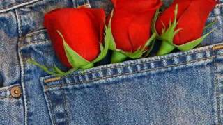 Triangulo- Los Baby's (Pete Garcia cover)