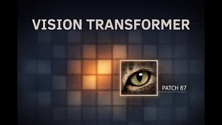 I Visualized a Vision Transformer