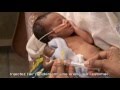 Insérer Une Sonde Gastrique Légendes En Français