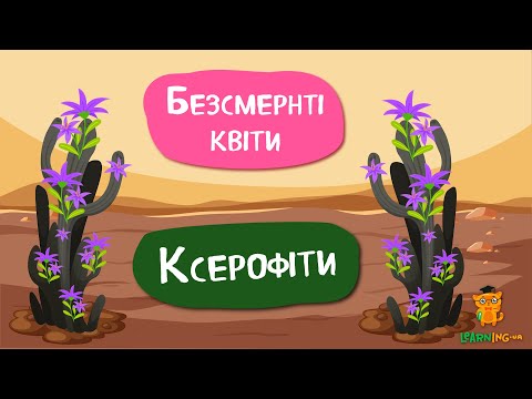 Дива природи. Явища навколо нас. Ксерофіти, або Квіти, що воскресають з попелу
