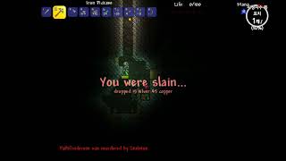 테라리아 그 4번쨰.. 진화햇다.. 조금