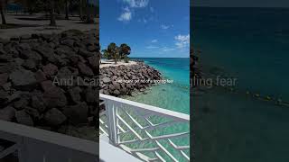 I'm borderline happy in Ocean Cay Island Bahamas  Msc Marine Reserve #oceancaybahamas #borderlinehap