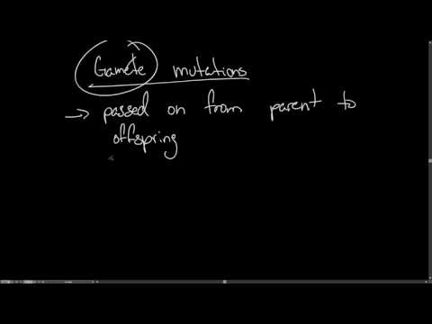 IB Biology 3.1 Genes .5 - Mutation; Base Substitution; New Alleles