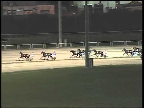 Trotto 30/12/2014 - 5° corsa