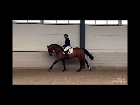 CLARIMO JUNIOR (v. Clarimo)