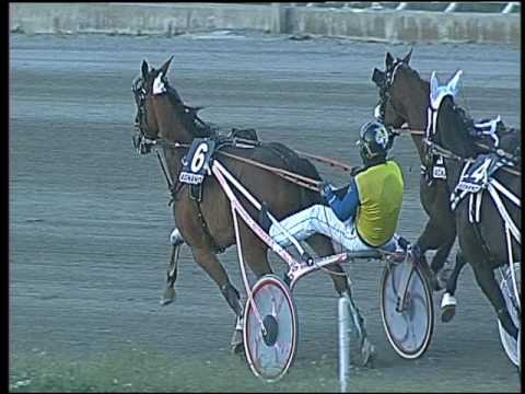 Trotto 10/03/2017 - 6ª corsa