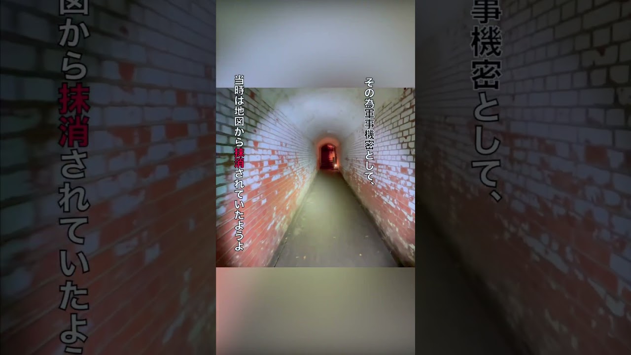 地図から消されていた島? #Shorts #ジブリ #戦争 #四国めたん #廃墟 #ラピュタ