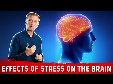 How to Improve Memory Connection between Alzheimer s Insulin – Dr Berg