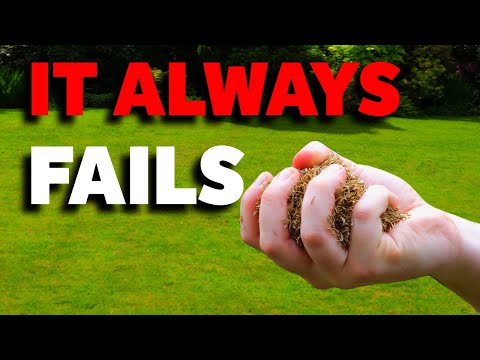 AVOID these STUPID mistakes over seeding your lawn