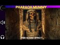 THE MUMMY HORROR SOUND EFFECT Themummy Mummysound Freesoundeffects Horrorsounds Scarysounds
