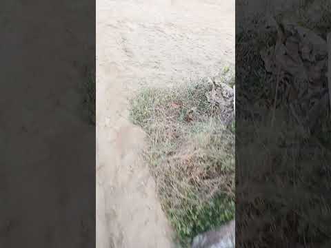 To Day 2nd seeing garden