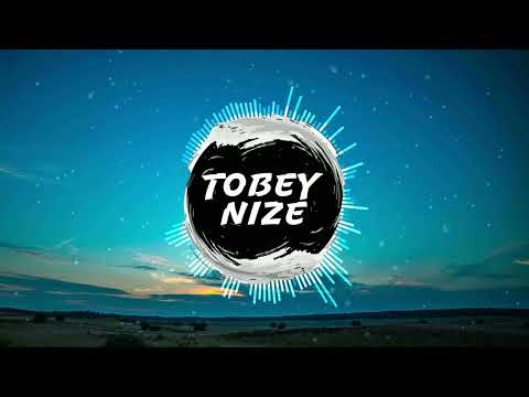 Jay Sean - Down ft. Lil Wayne (TOBEY NIZE REMIX)