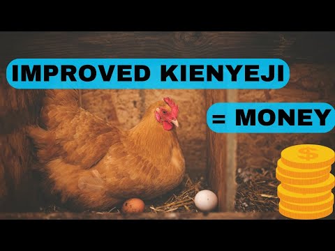 Improved Kienyeji Chicken: How to Raise Profitable Poultry in Kenya | Farming Guide 2025