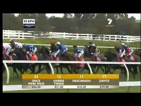 2010 Melbourne Cup - Americain