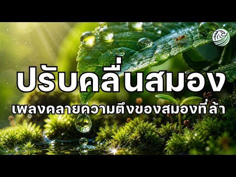 ดนตรีบำบัดสมอง ช่วยปรับคลื่นสมองให้สงบลง ลดความเครียดสะสม คลายความตึงสมองที่ล้า ดนตรีผ่อนคลาย