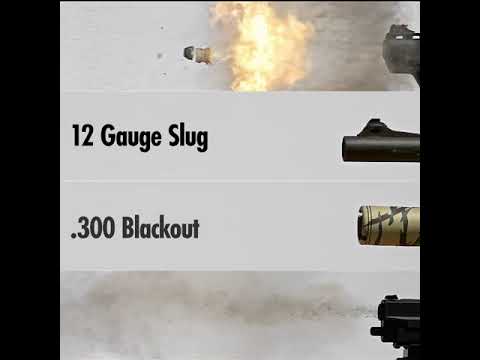 Comparing Calibers In Ultra Slow Motion