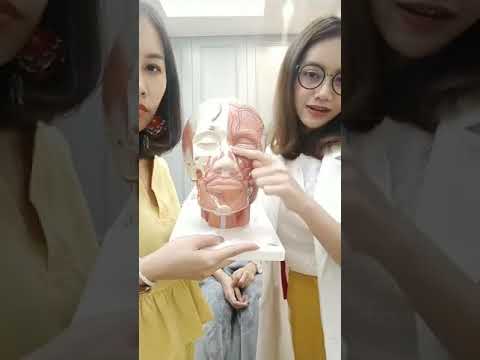 โบท็อก ปีกจมูก