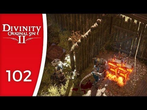 The magisters tolerate little - Let's Play Divinity: Original Sin 2 #102
