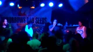 Tomorrows Bad Seeds - Ready Fe Rock w  Andy Chaves from Katastro (live in Denver, CO @ The Marquise