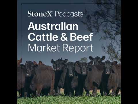 Rain, Rebuild & Record Highs: From Dry to Bullish – How a Bit of Rain Shook Up the Market