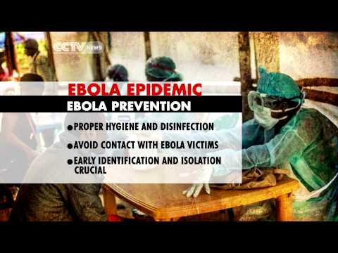 What You Need to Know about Ebola