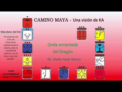 002 Viento Lunar Blanco